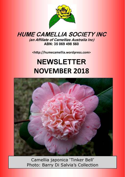 Hume Newsletter November 2018_Page_01